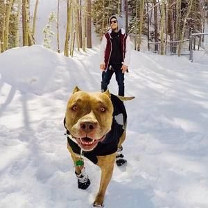 Meet your Posher, Blake